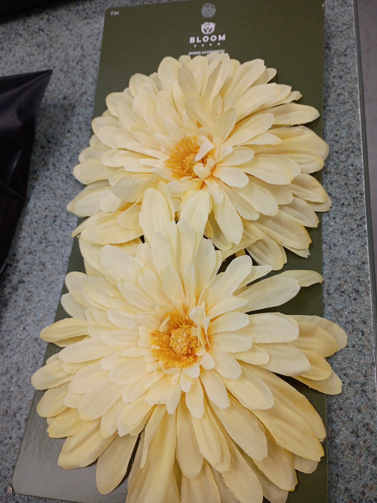 Cream colored flowers